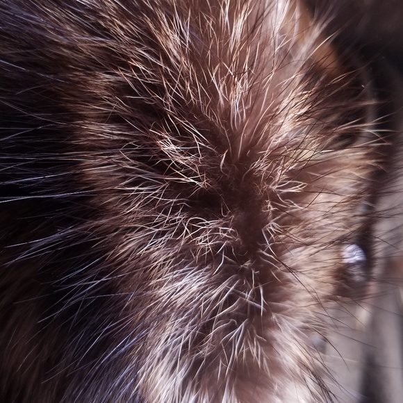 Geiger Boiled Wool Cedar Green Cape with Fur - Picture 6 of 8
